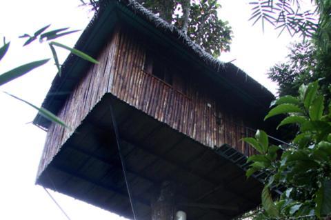 Coffee Acres Plantation Resort Kalpatta Zimmer foto