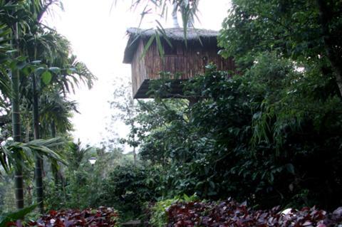 Coffee Acres Plantation Resort Kalpatta Zimmer foto