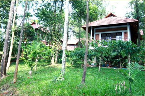 Coffee Acres Plantation Resort Kalpatta Exterior foto